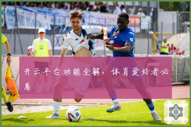开云平台功能全解，体育爱好者必看