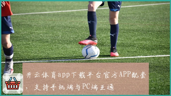 开云体育app下载平台官方APP配套，支持手机端与PC端互通
