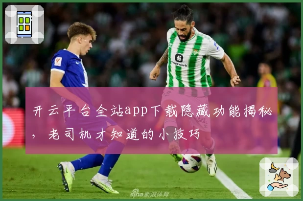 开云平台全站app下载隐藏功能揭秘，老司机才知道的小技巧