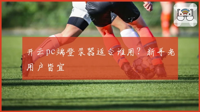开云pc端登录器适合谁用？新手老用户皆宜