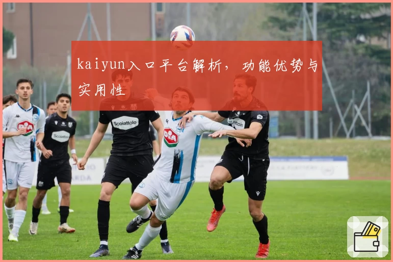 kaiyun入口平台解析，功能优势与实用性