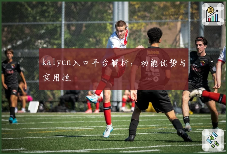 kaiyun入口平台解析，功能优势与实用性