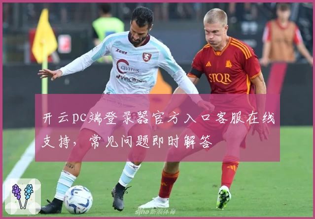 开云pc端登录器官方入口客服在线支持,常见问题即时解答