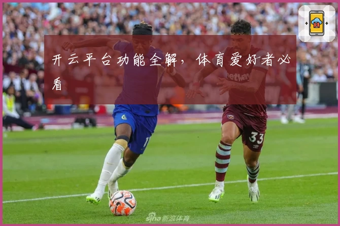 开云平台功能全解，体育爱好者必看