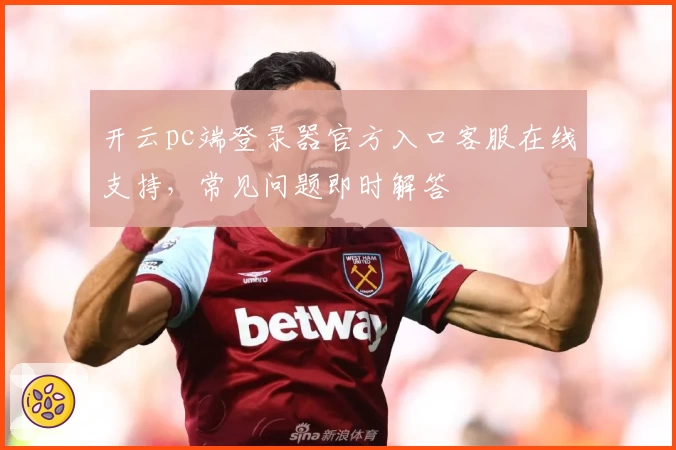 开云pc端登录器官方入口客服在线支持,常见问题即时解答